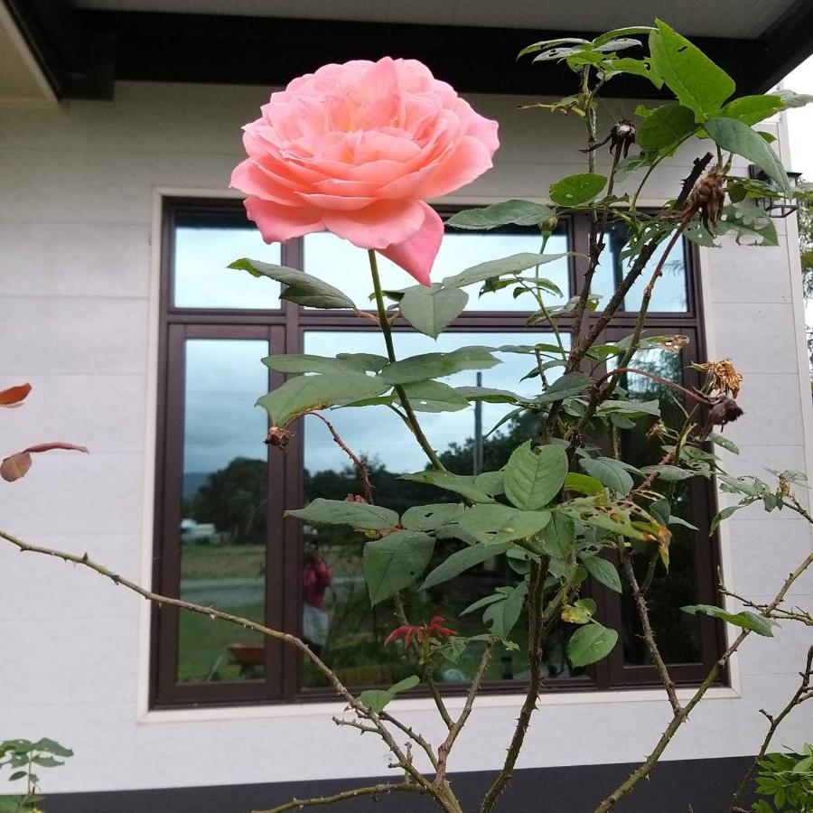 Futian B&B Ji'an Esterno foto